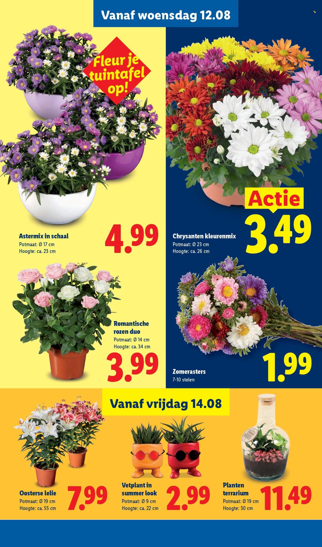 Lidl-aanbieding - 10-8-2026 - 16-8-2026. Pagina 16