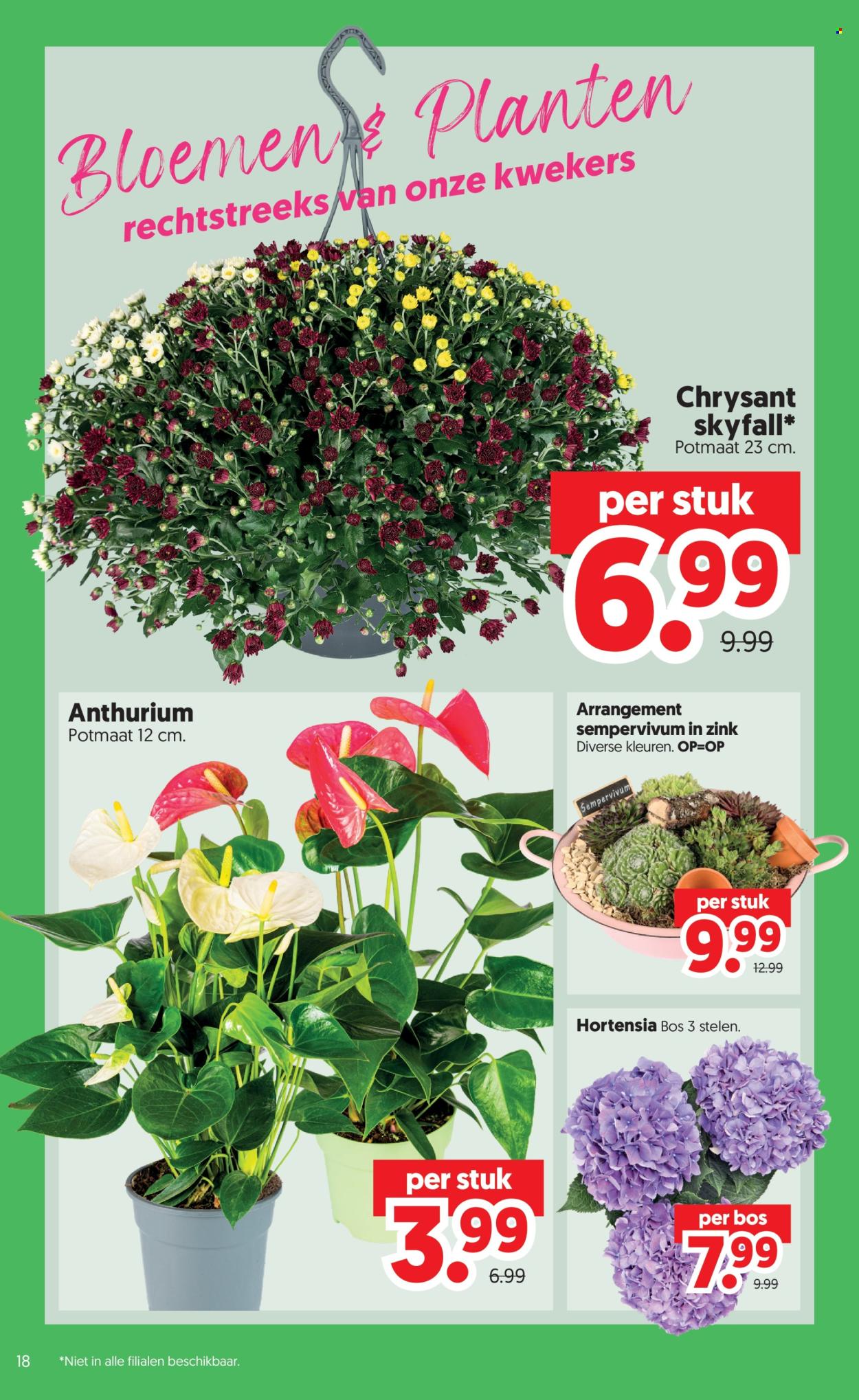DekaMarkt-aanbieding - 11-8-2026 - 17-8-2026. Pagina 20