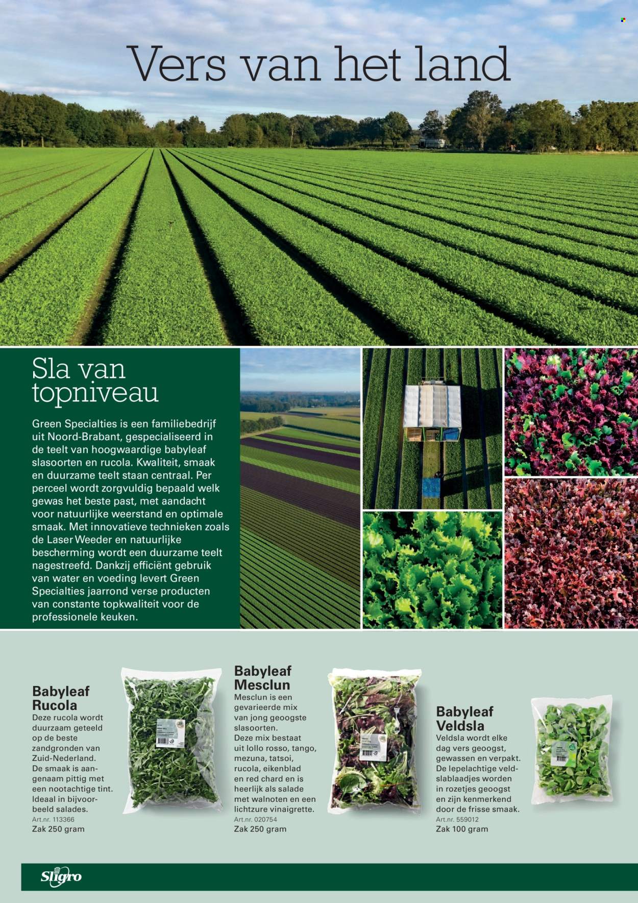 Sligro-aanbieding - 13-8-2026 - 31-8-2026. Pagina 10