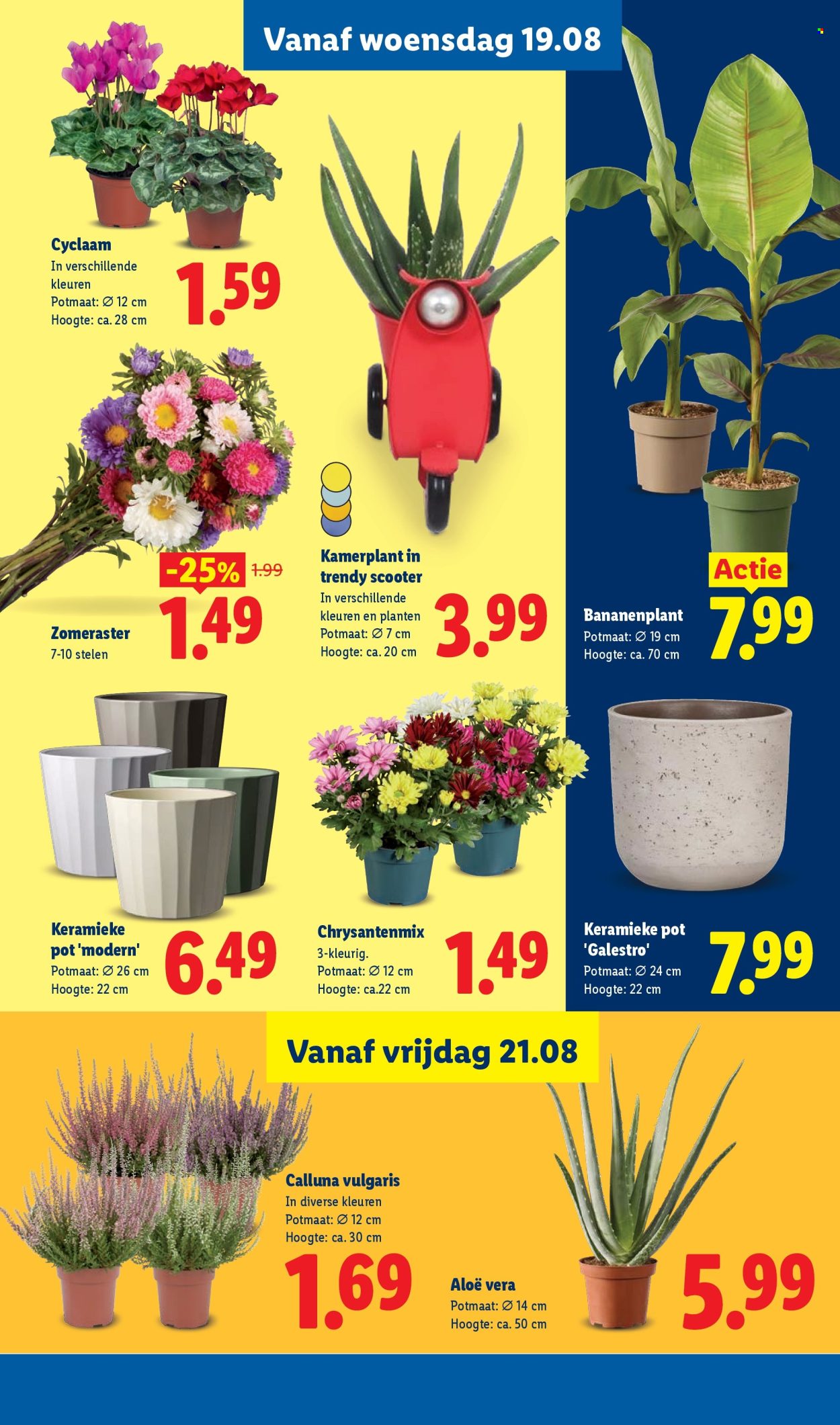 Lidl-aanbieding - 17-8-2026 - 23-8-2026. Pagina 17