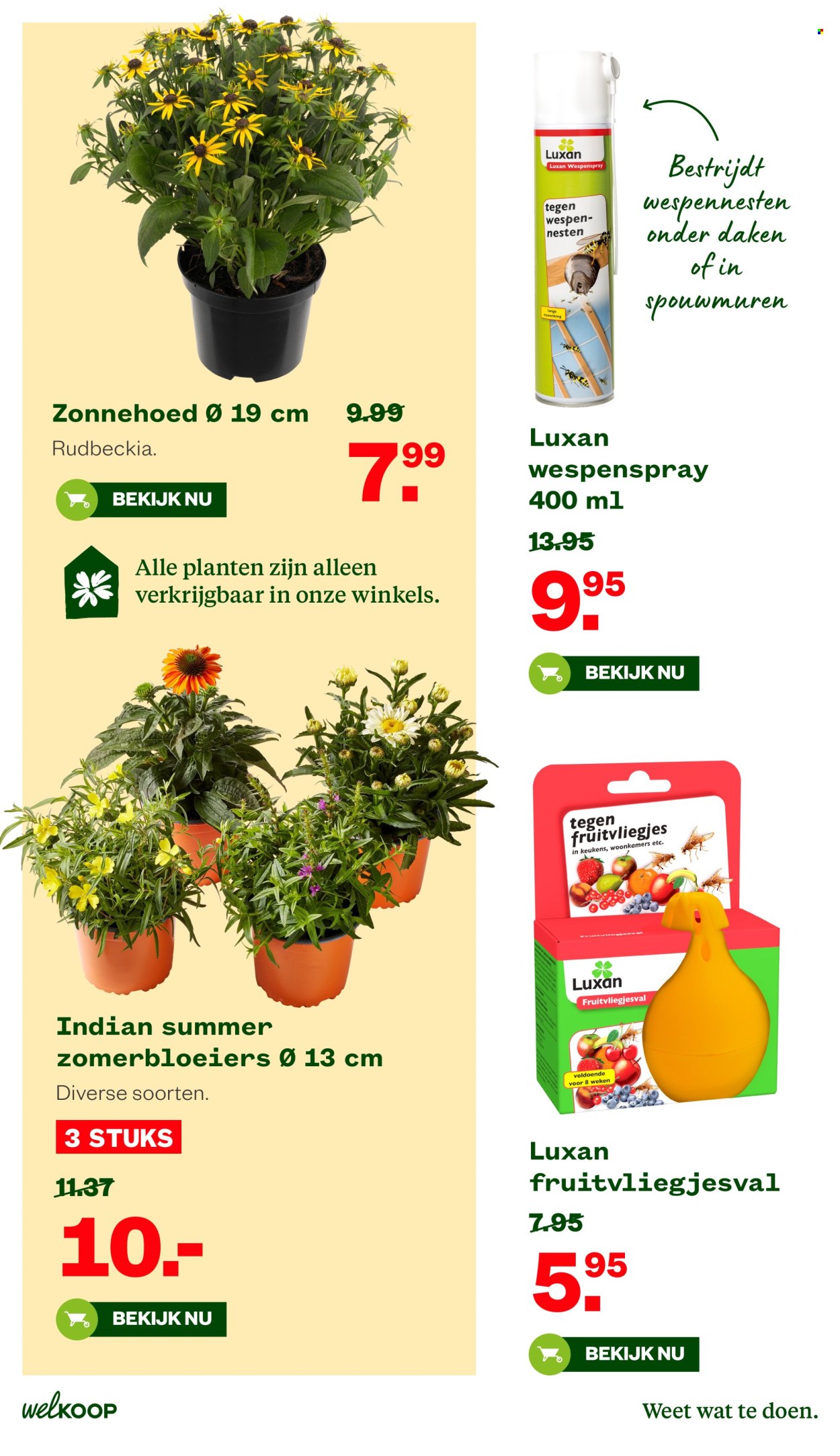 Welkoop-aanbieding - 10-8-2026 - 23-8-2026. Pagina 13