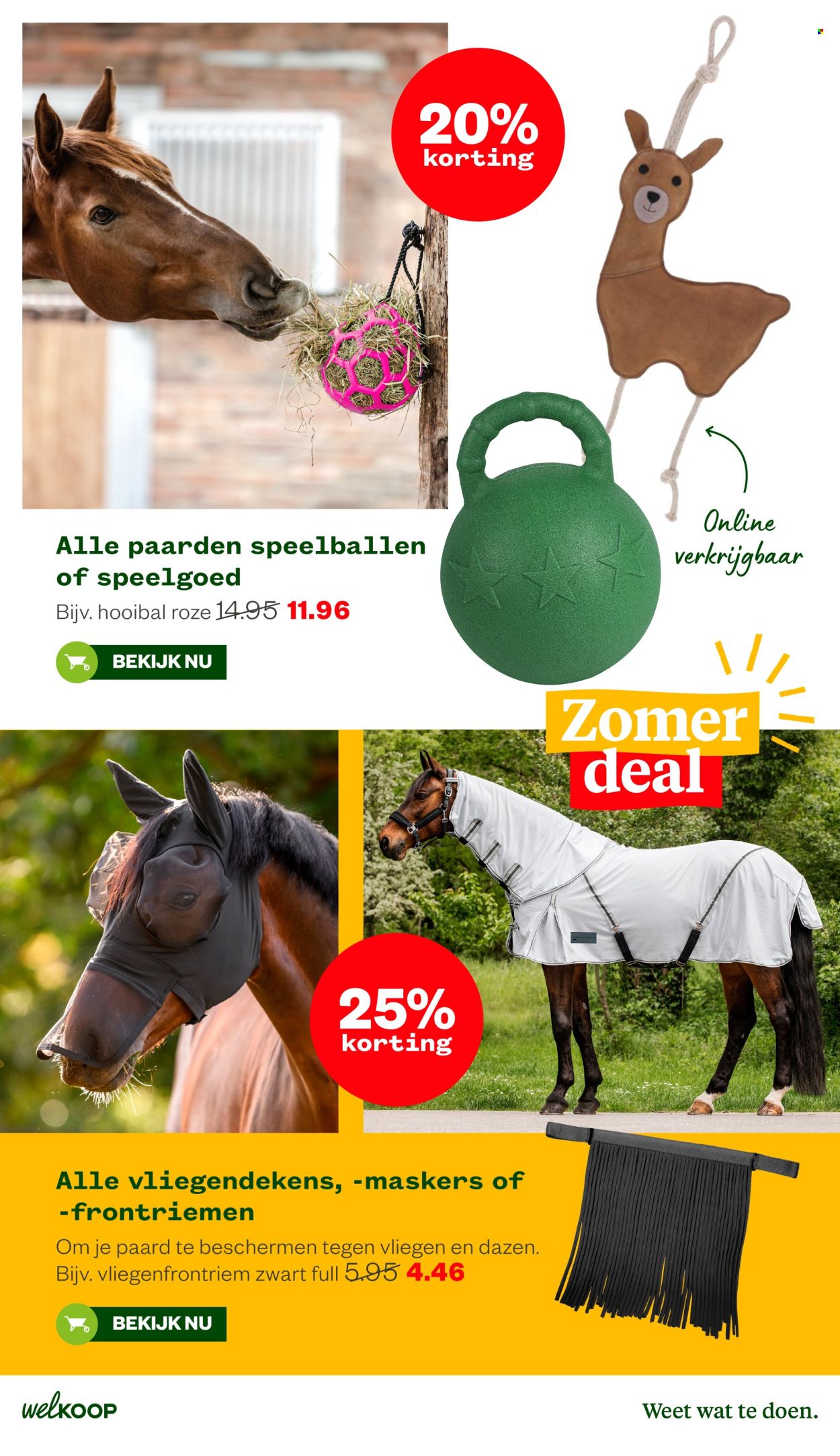 Welkoop-aanbieding - 10-8-2026 - 23-8-2026. Pagina 29