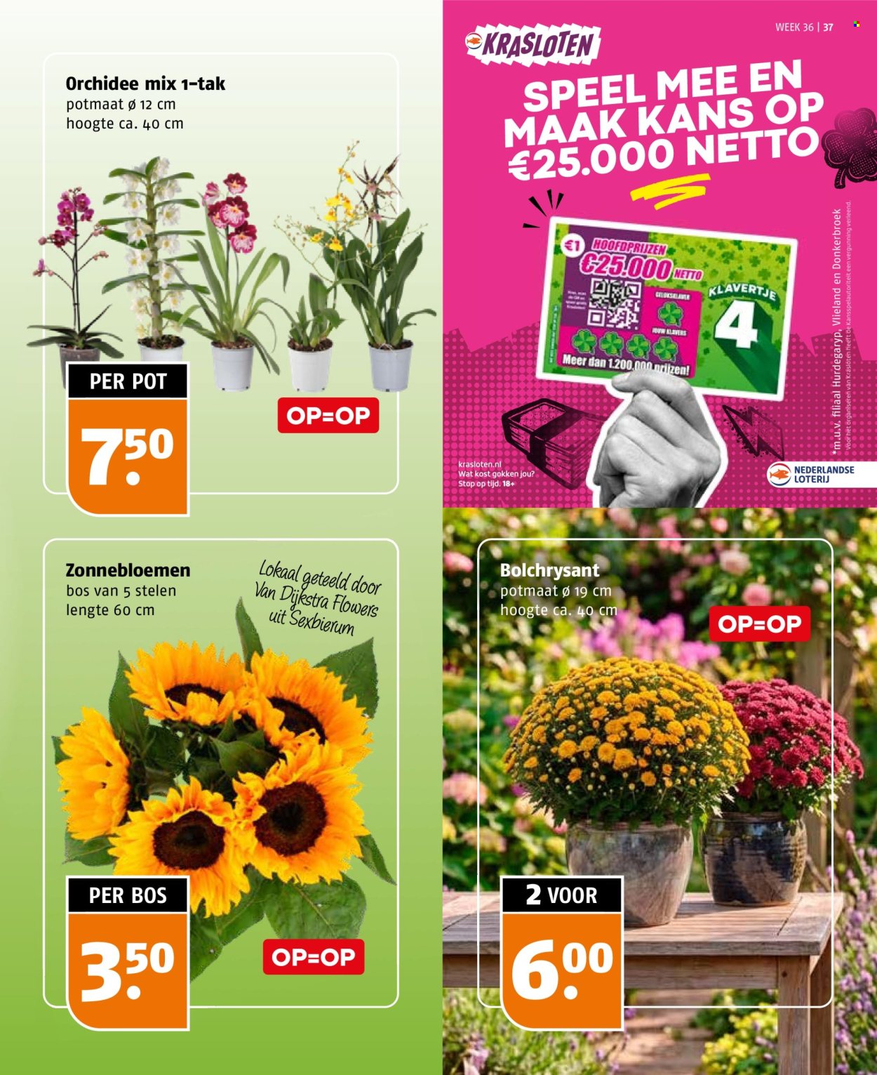 Poiesz-aanbieding - 30-8-2026 - 5-9-2026. Pagina 37