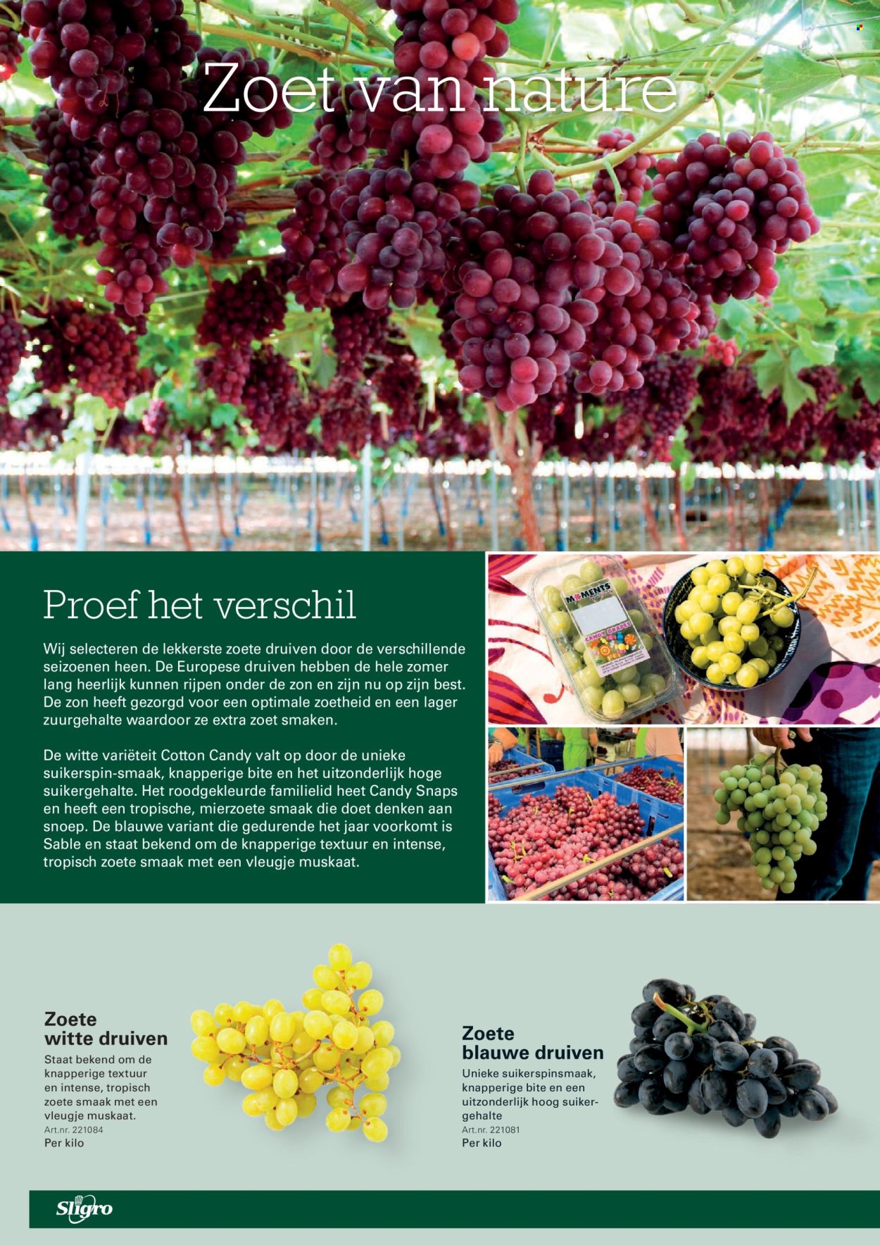 Sligro-aanbieding - 3-9-2026 - 21-9-2026. Pagina 42