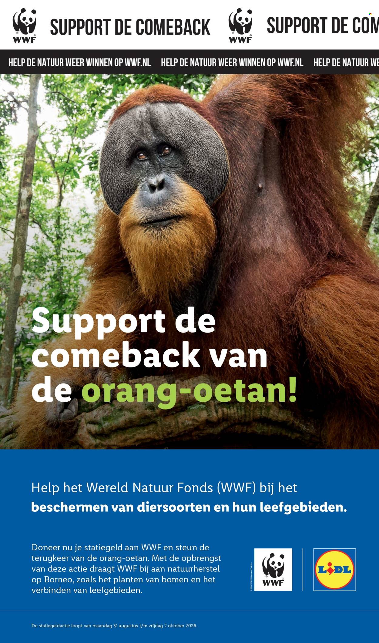 Lidl-aanbieding - 7-9-2026 - 13-9-2026. Pagina 53