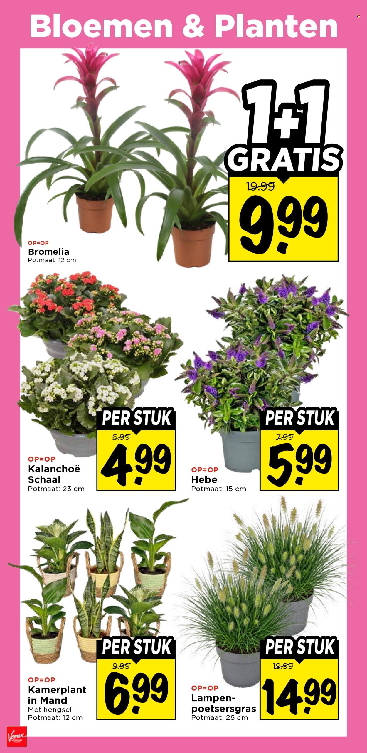 Vomar-aanbieding - 10-9-2026 - 12-9-2026. Pagina 37