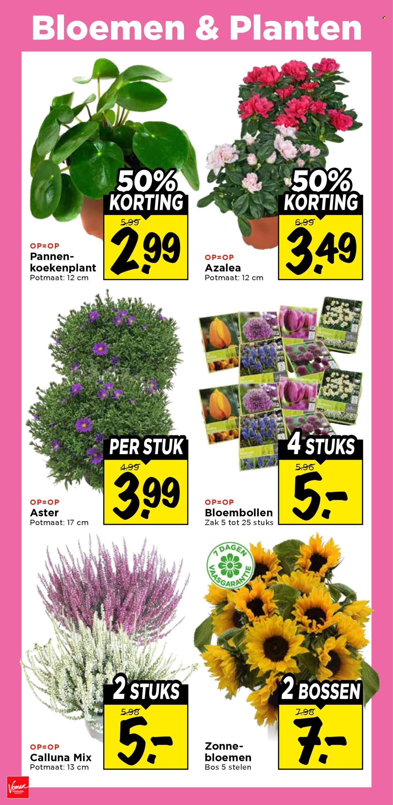 Vomar-aanbieding - 17-9-2026 - 19-9-2026. Pagina 37