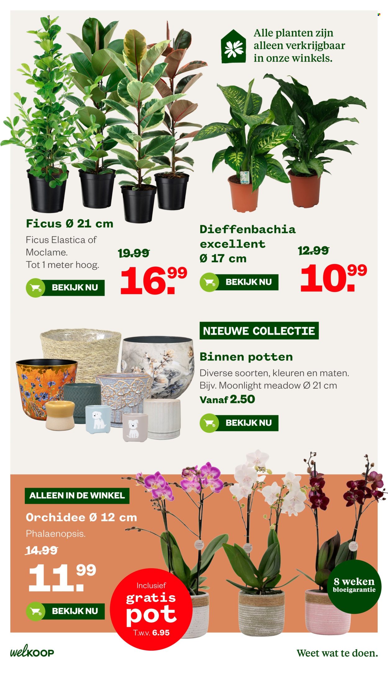 Welkoop-aanbieding - 7-9-2026 - 20-9-2026. Pagina 24