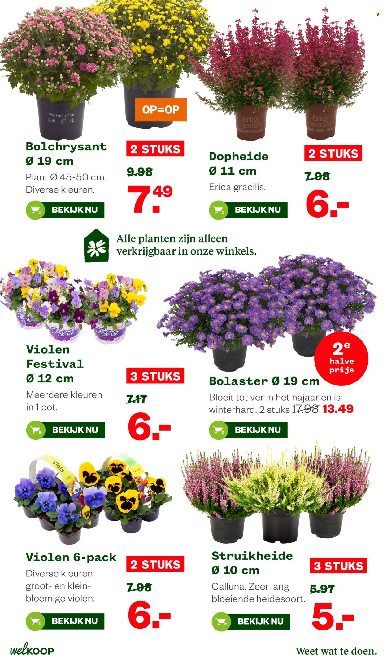 Welkoop-aanbieding - 21-9-2026 - 4-10-2026. Pagina 20