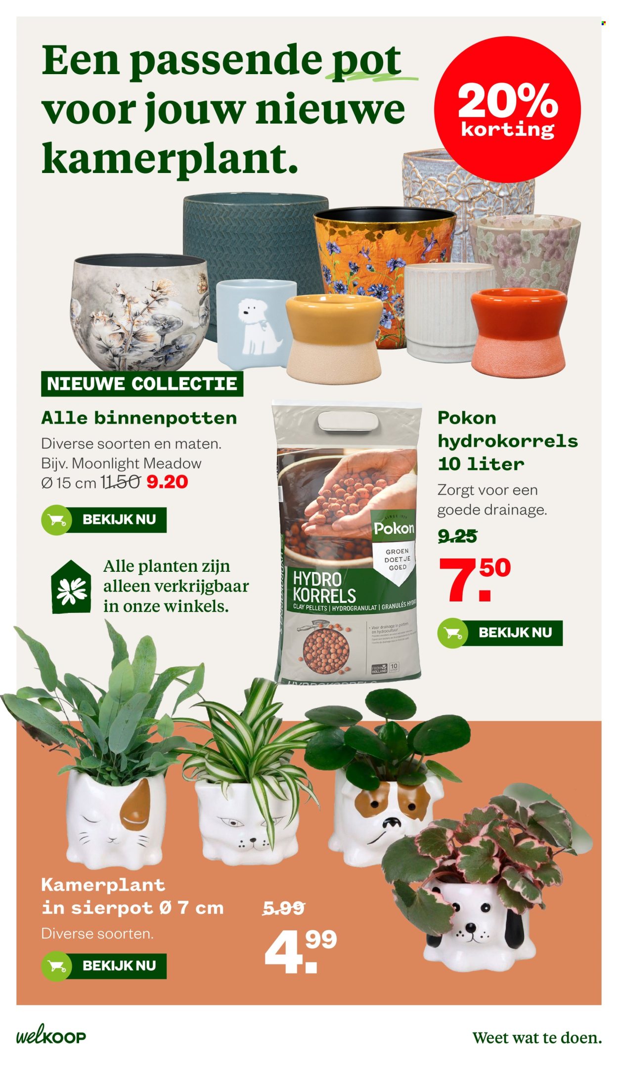 Welkoop-aanbieding - 21-9-2026 - 4-10-2026. Pagina 30