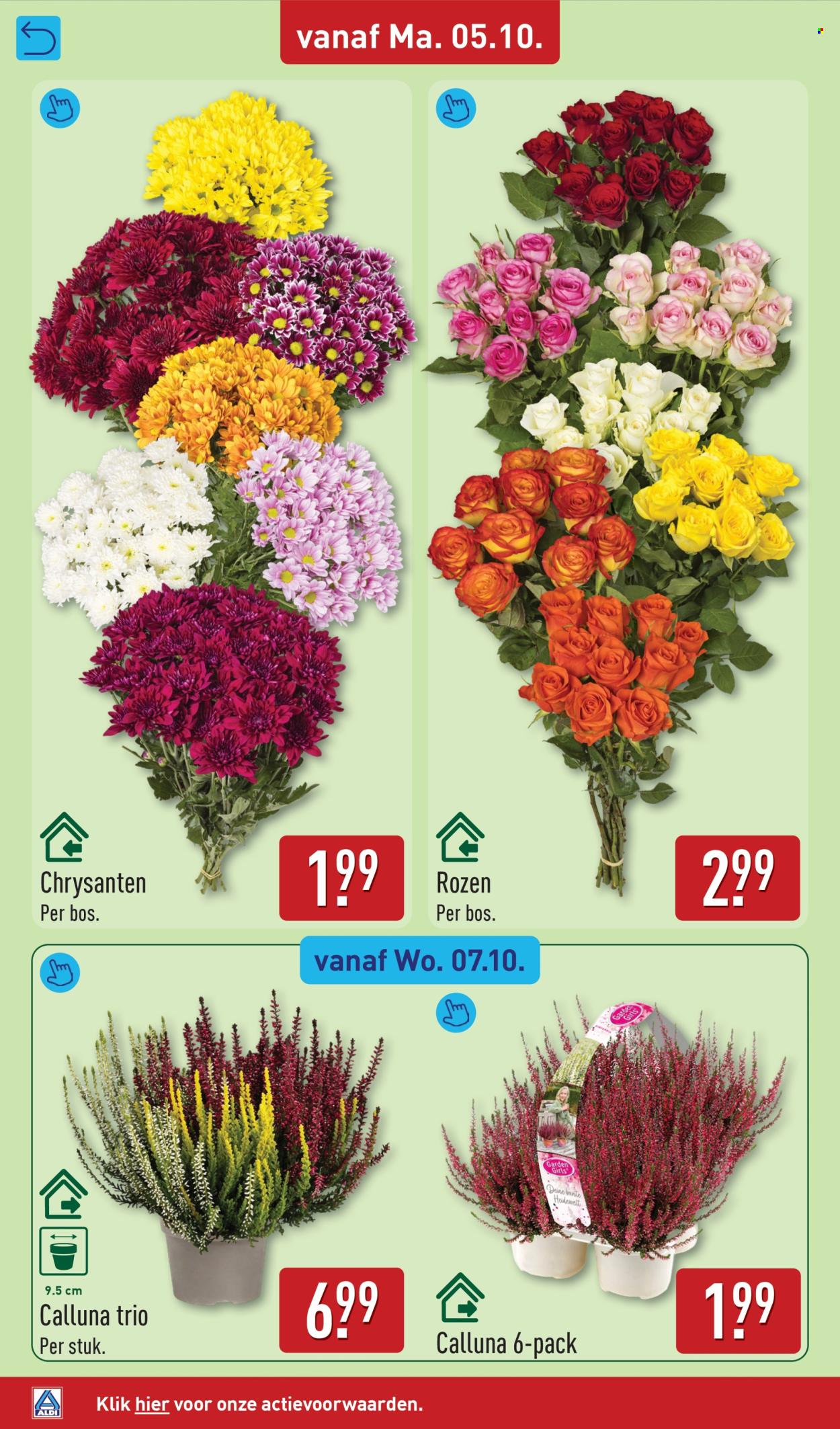 Aldi-aanbieding - 5-10-2026 - 11-10-2026. Pagina 38