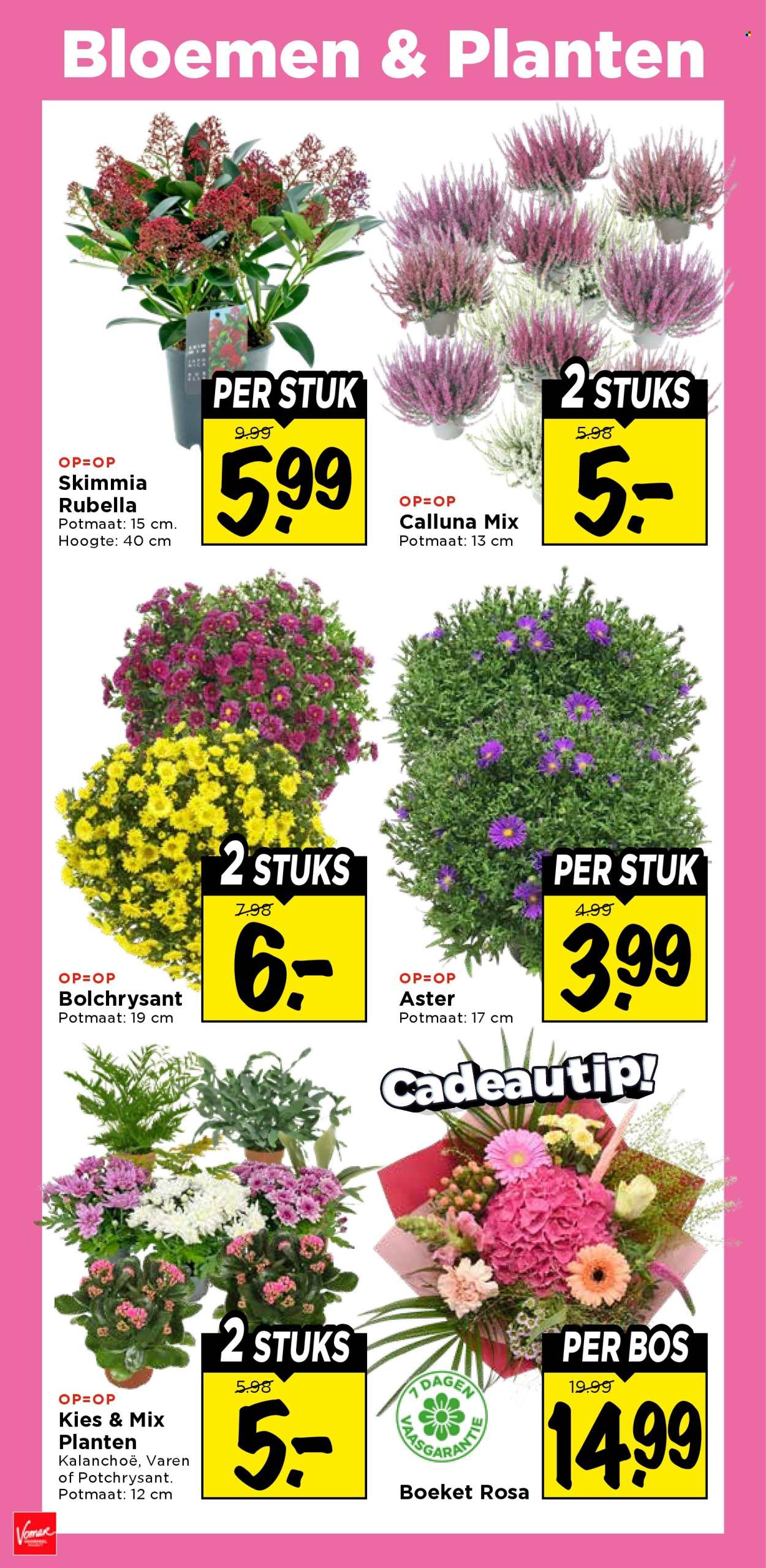 Vomar-aanbieding - 1-10-2026 - 3-10-2026. Pagina 39