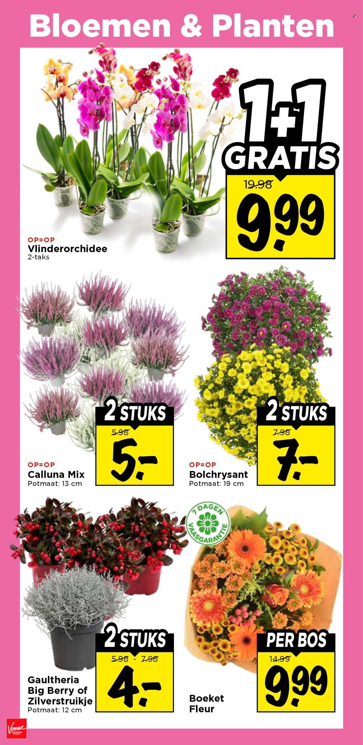 Vomar-aanbieding - 4-10-2026 - 10-10-2026. Pagina 31