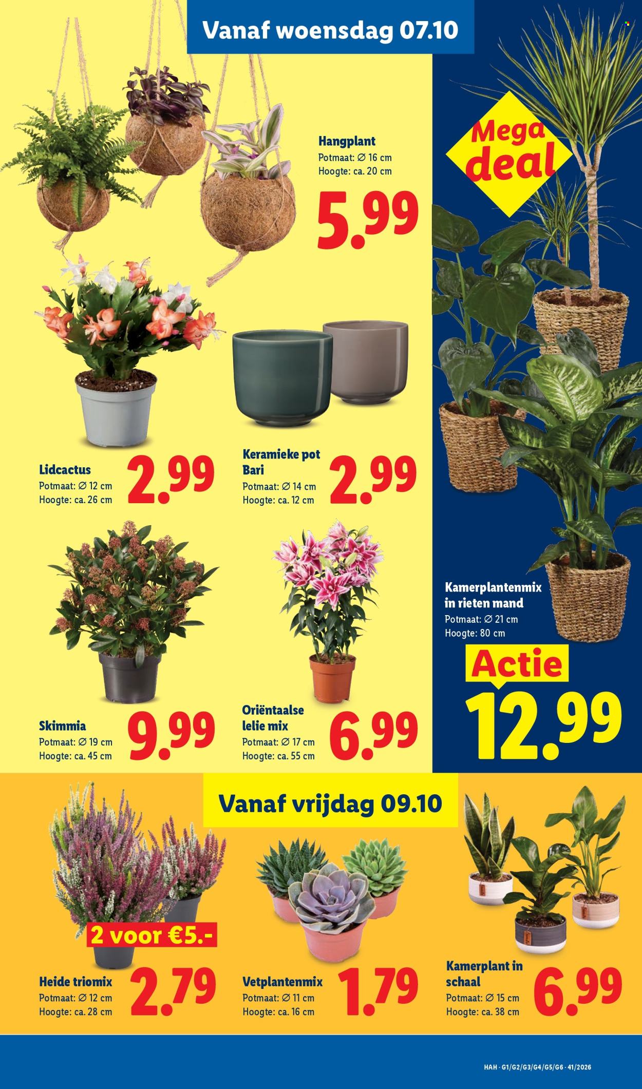 Lidl-aanbieding - 5-10-2026 - 11-10-2026. Pagina 13
