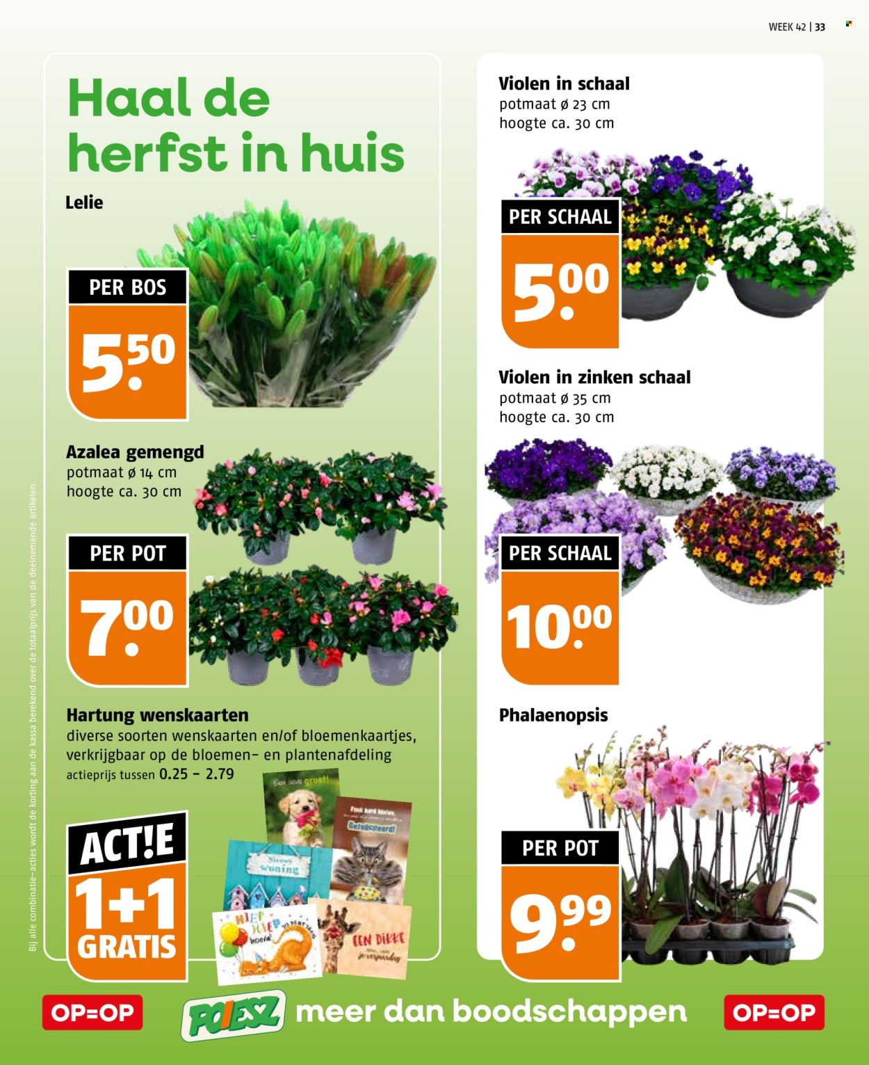 Poiesz-aanbieding - 11-10-2026 - 17-10-2026. Pagina 33