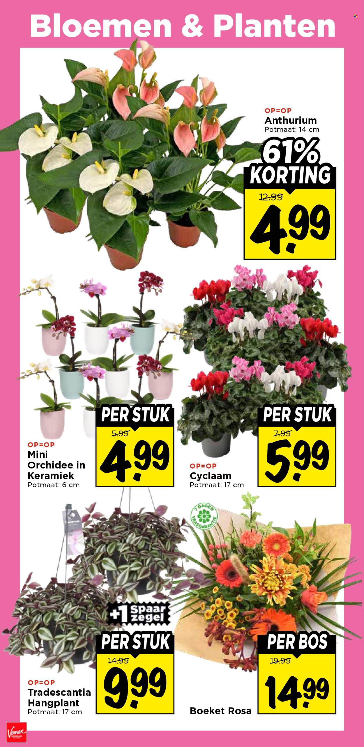 Vomar-aanbieding - 22-10-2026 - 24-10-2026. Pagina 41