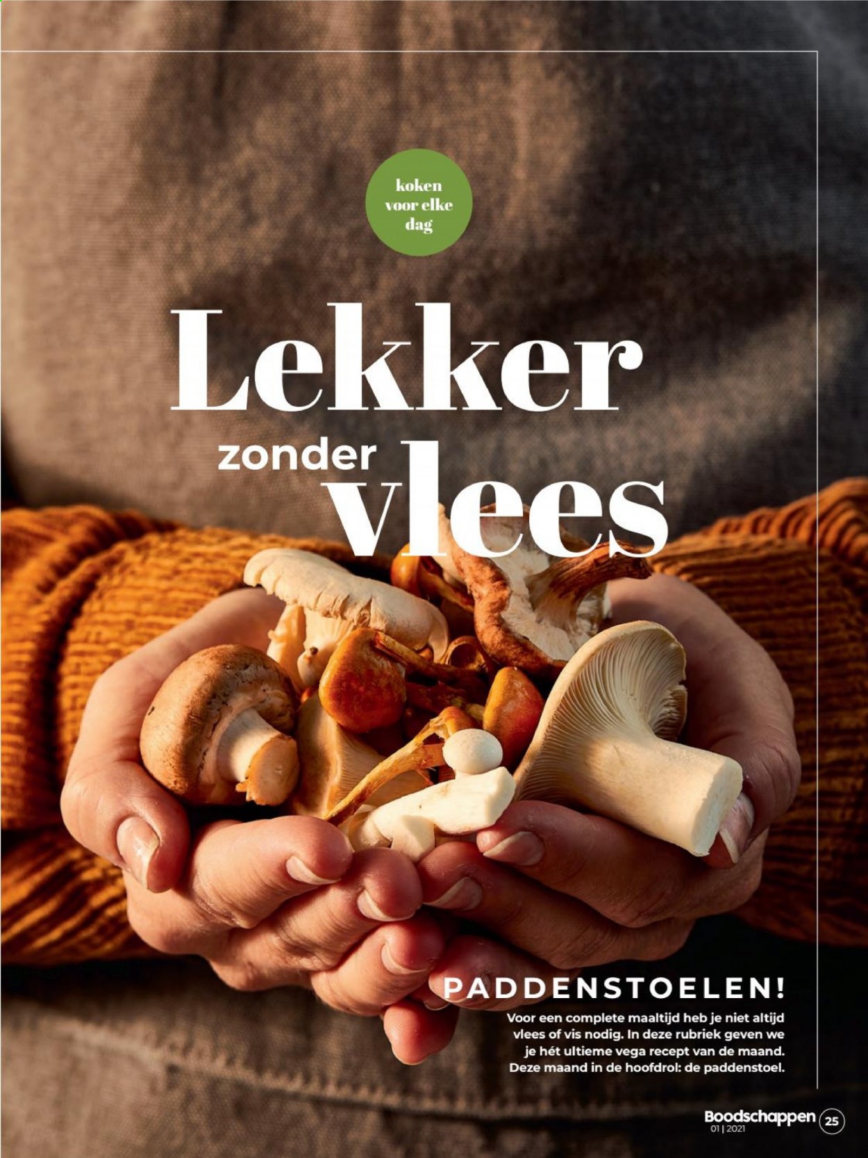 Boni-aanbieding - 1-1-2021 - 31-1-2021. Pagina 21