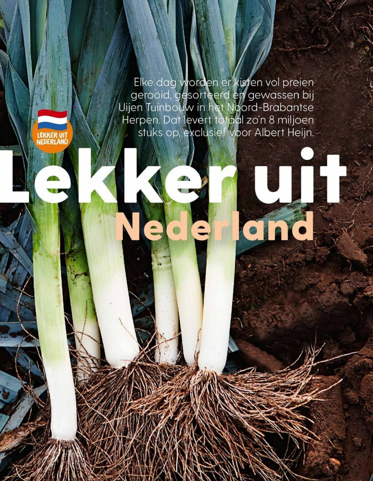 Albert Heijn-aanbieding. Pagina 40