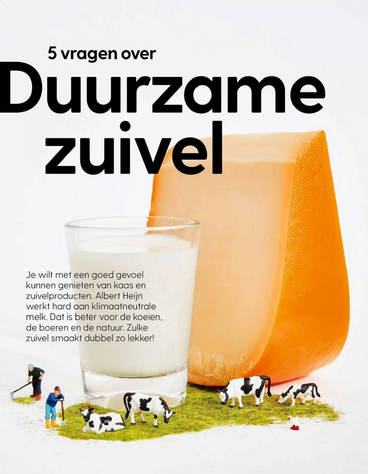Albert Heijn-aanbieding. Pagina 72