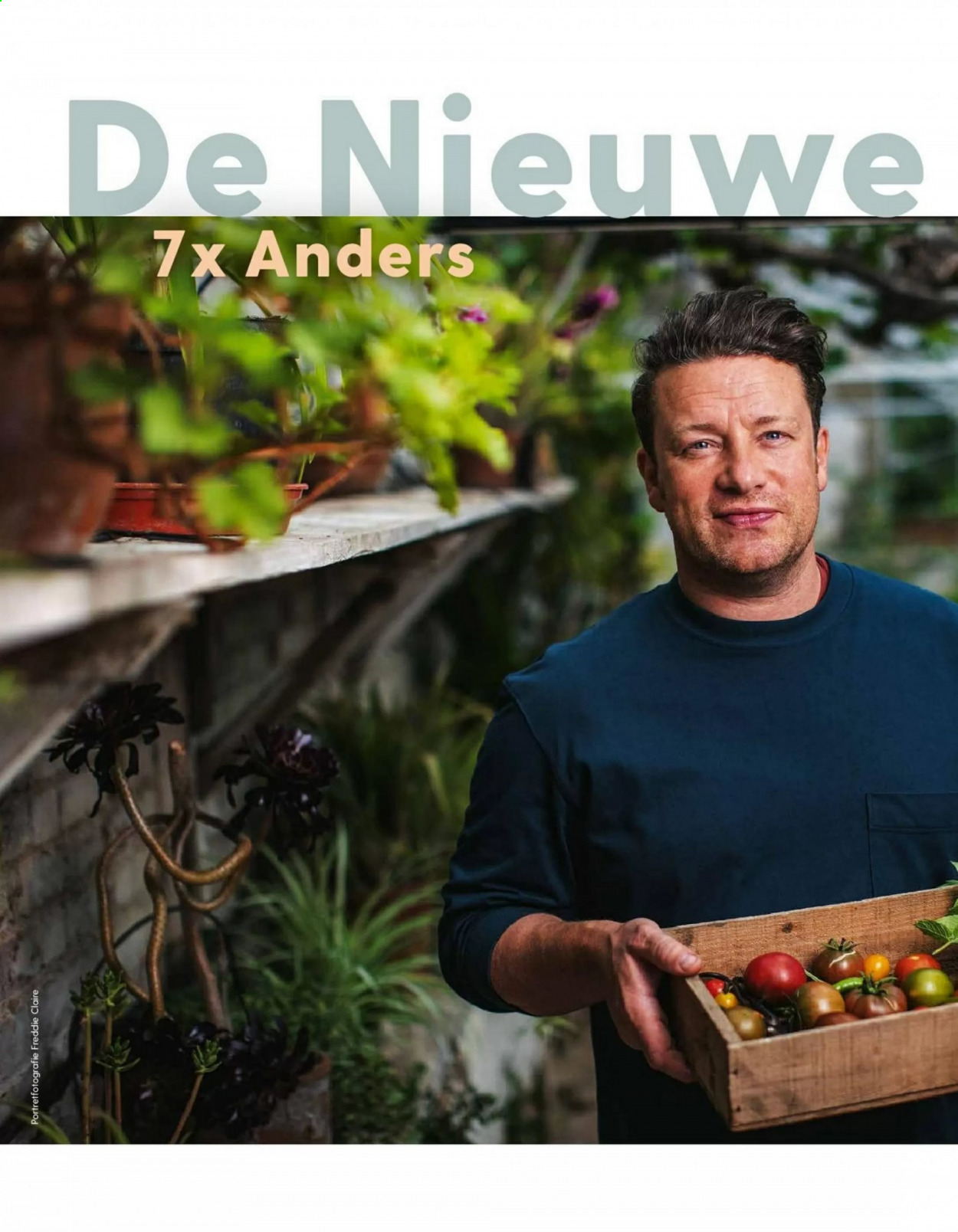 Albert Heijn-aanbieding. Pagina 96