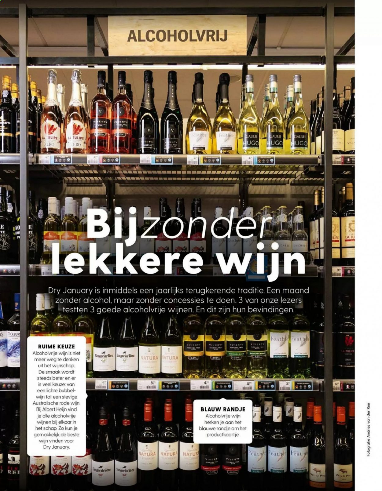 Albert Heijn-aanbieding. Pagina 104