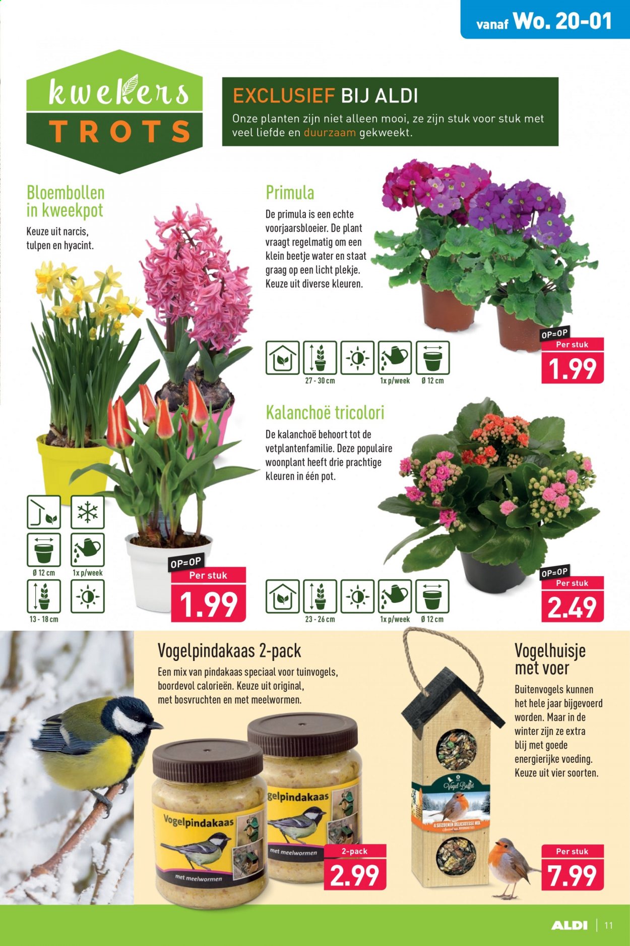 Aldi-aanbieding - 18-1-2021 - 24-1-2021. Pagina 11