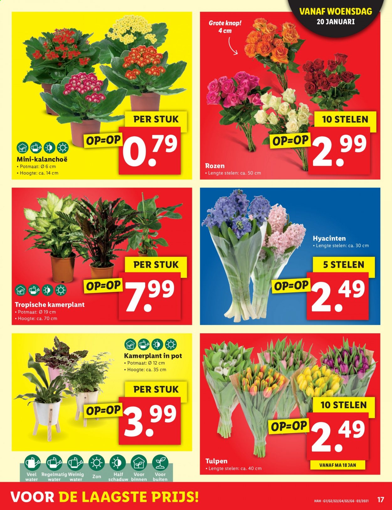 Lidl-aanbieding - 17-1-2021 - 24-1-2021. Pagina 17