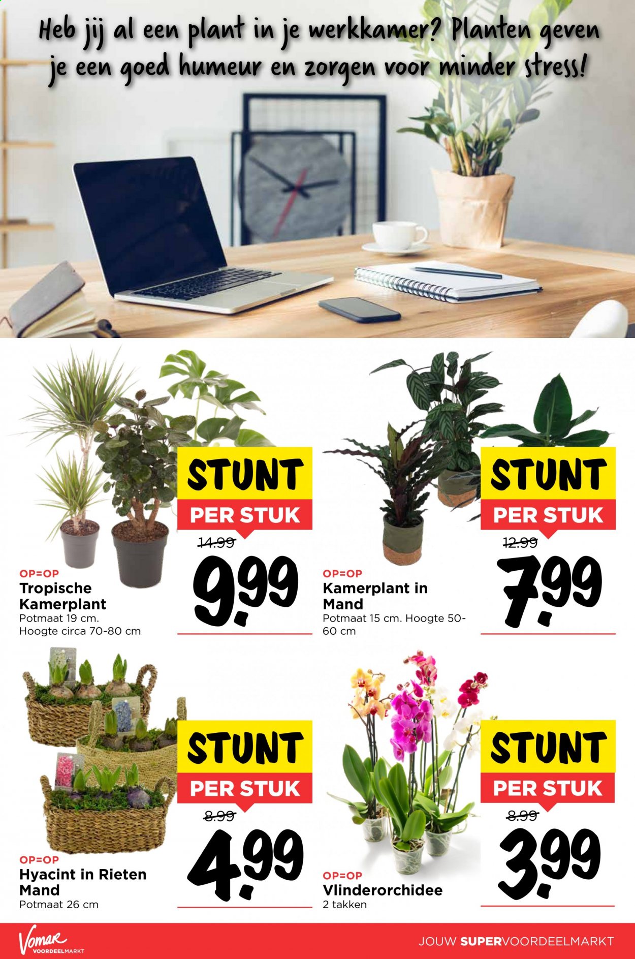 Vomar-aanbieding - 21-1-2021 - 23-1-2021. Pagina 14