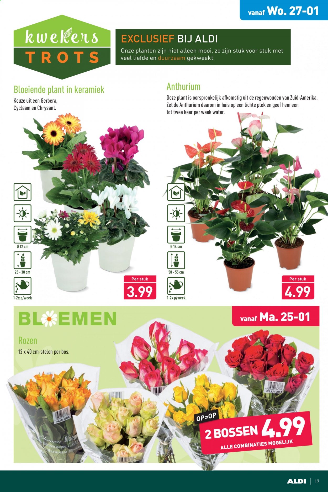 Aldi-aanbieding - 25-1-2021 - 31-1-2021. Pagina 17