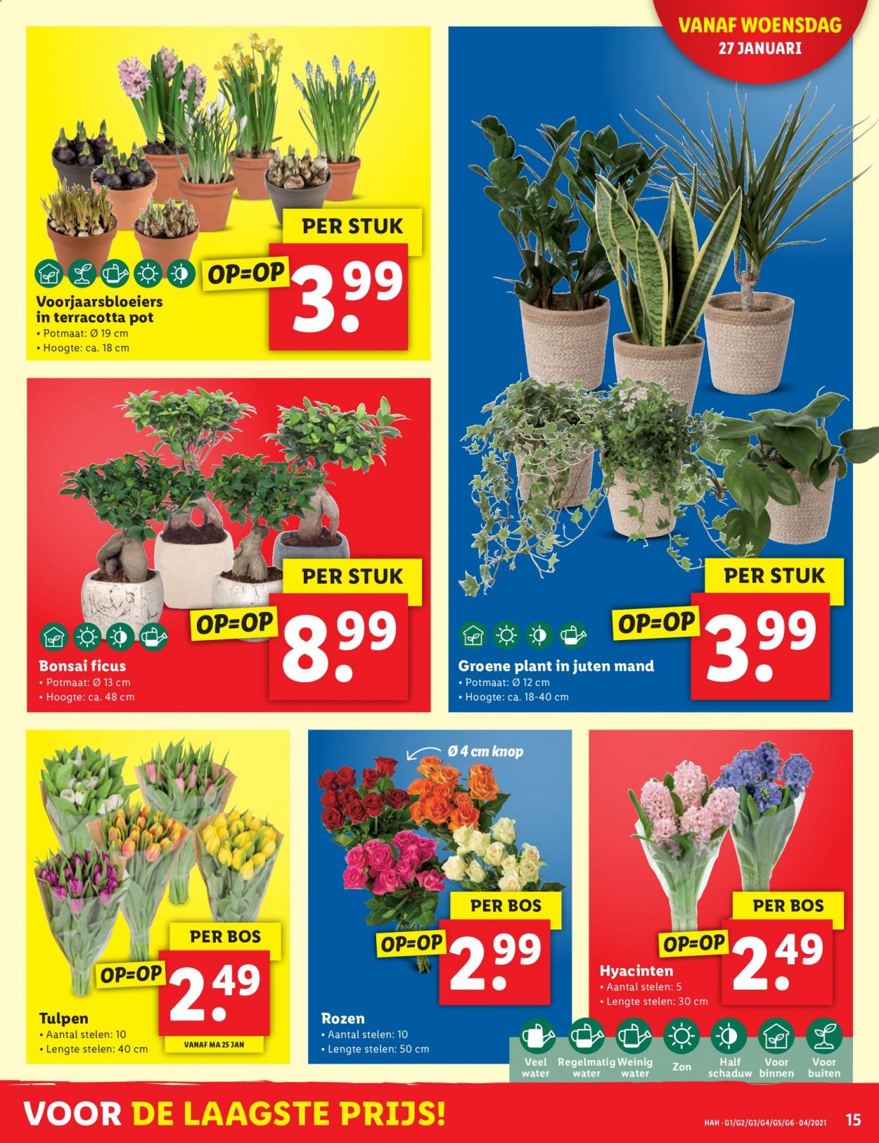 Lidl-aanbieding - 25-1-2021 - 31-1-2021. Pagina 15