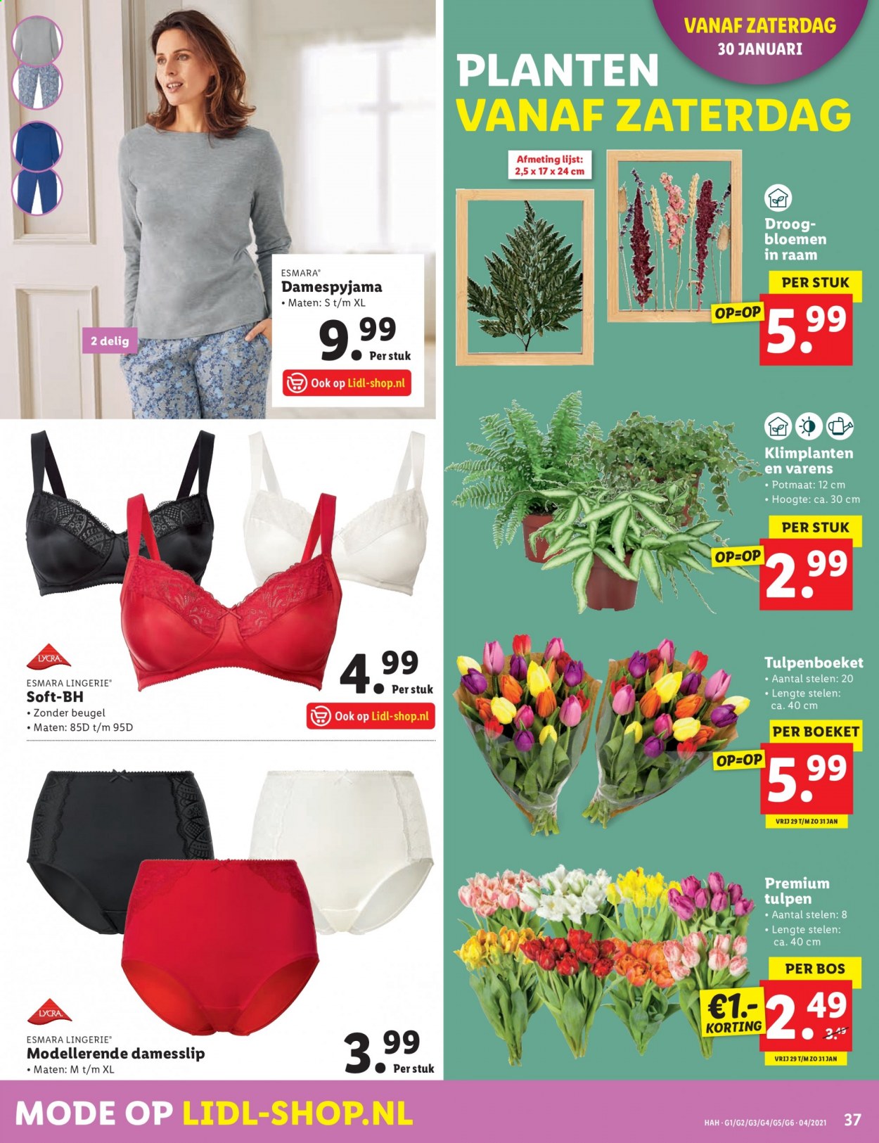 Lidl-aanbieding - 25-1-2021 - 31-1-2021. Pagina 37