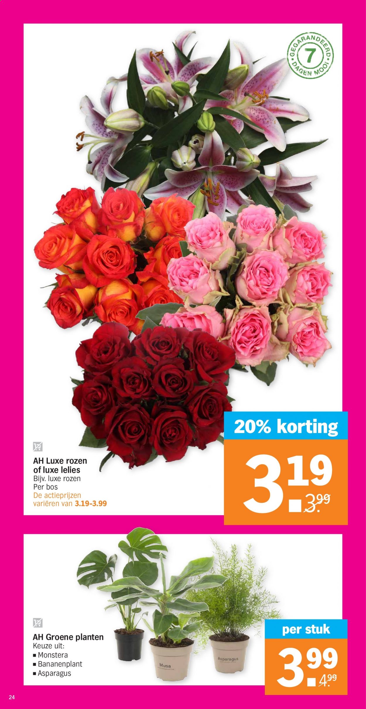 Albert Heijn-aanbieding - 25-1-2021 - 31-1-2021. Pagina 24