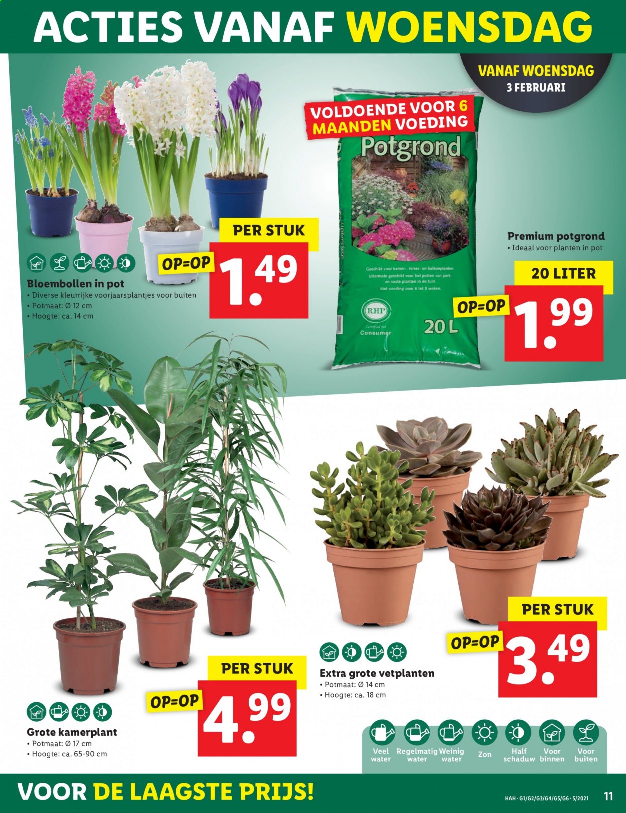 Lidl-aanbieding - 1-2-2021 - 7-2-2021. Pagina 11