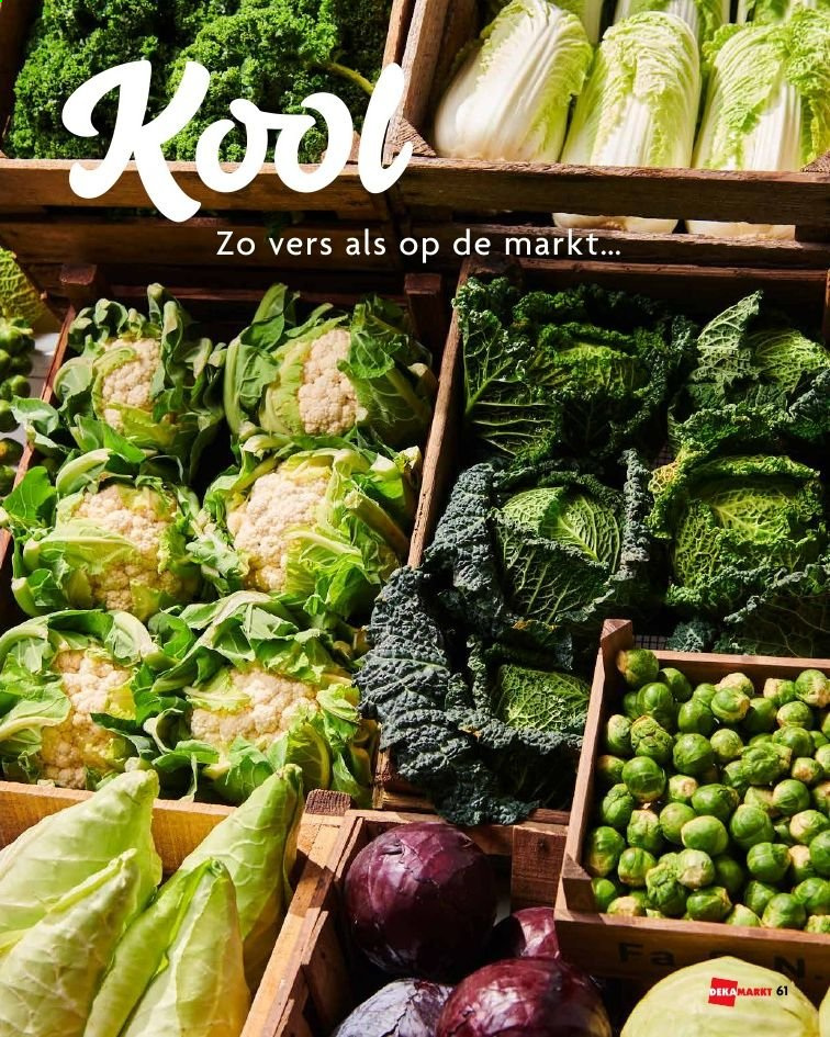 DekaMarkt-aanbieding. Pagina 61