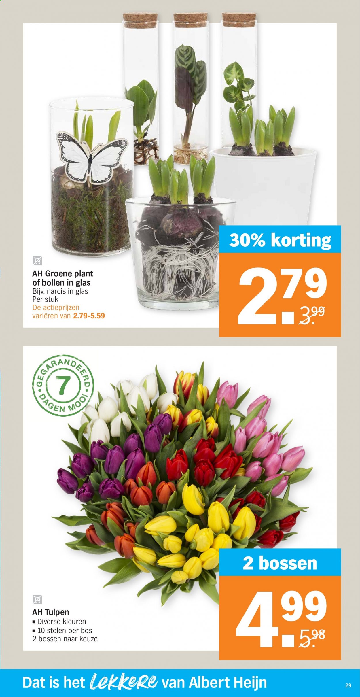 Albert Heijn-aanbieding - 1-2-2021 - 7-2-2021. Pagina 29