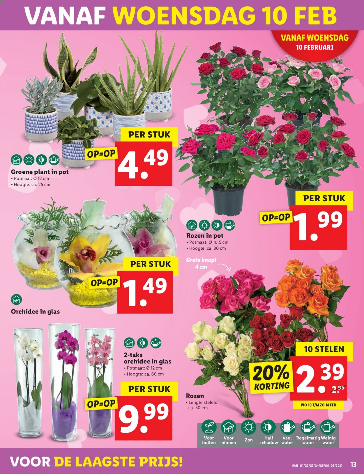 Lidl-aanbieding - 8-2-2021 - 14-2-2021. Pagina 13