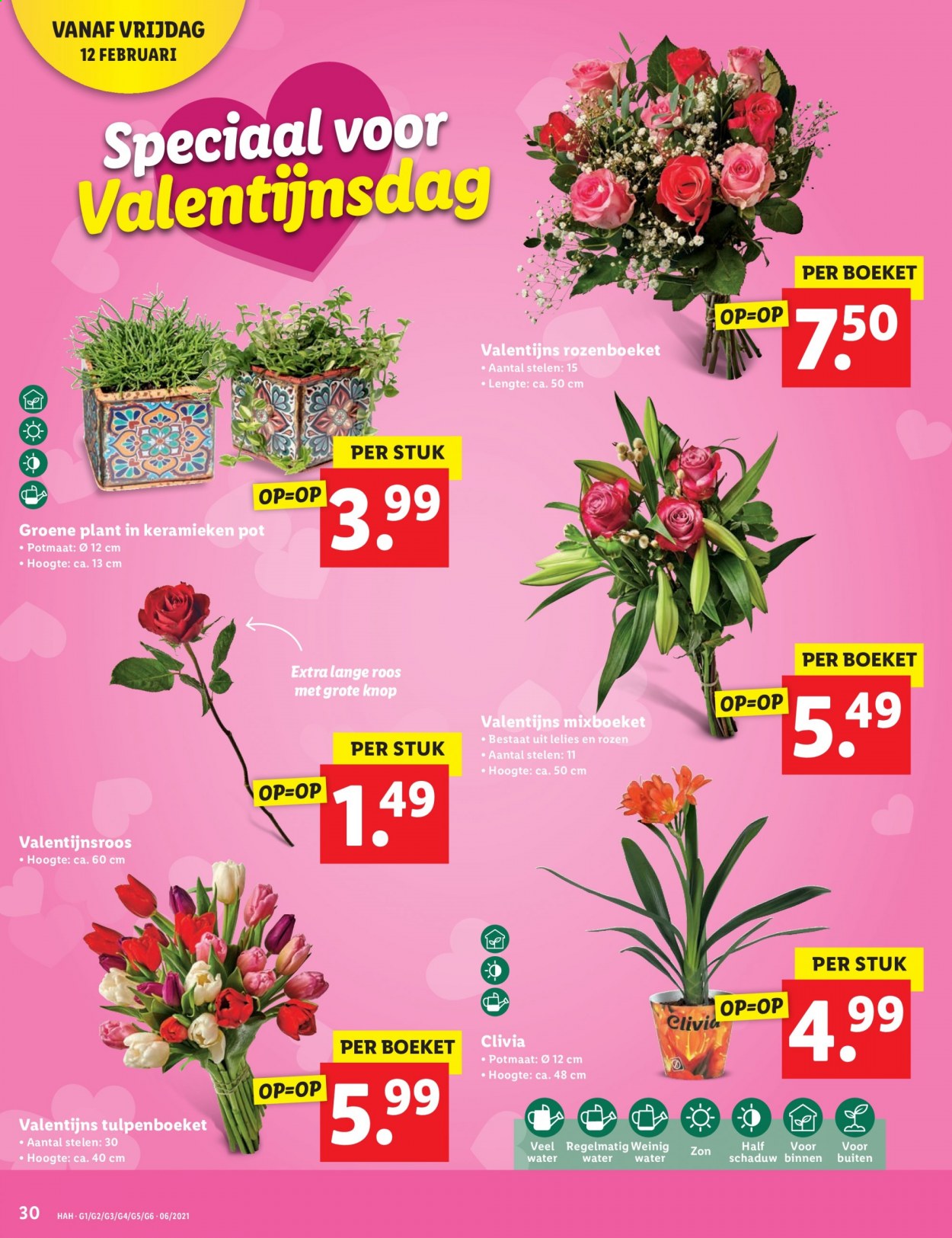 Lidl-aanbieding - 8-2-2021 - 14-2-2021. Pagina 30