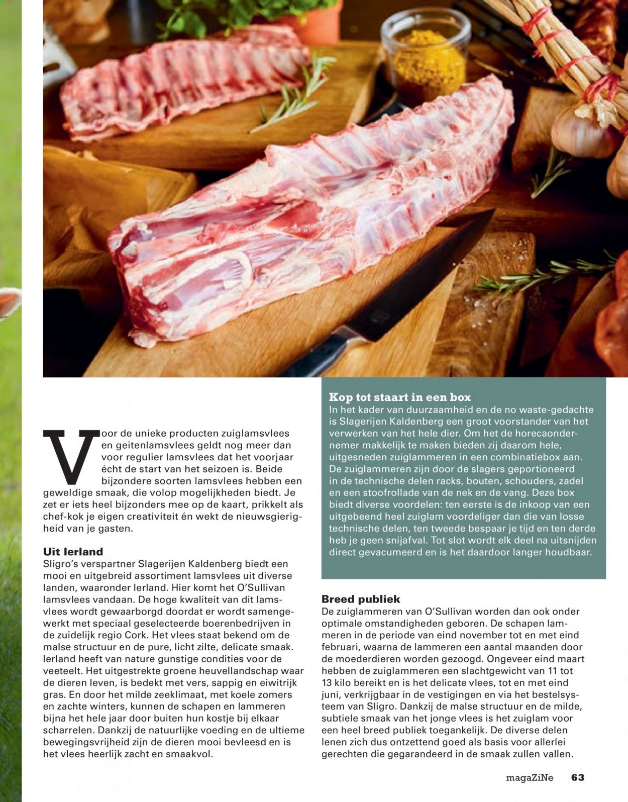 Sligro-aanbieding. Pagina 63