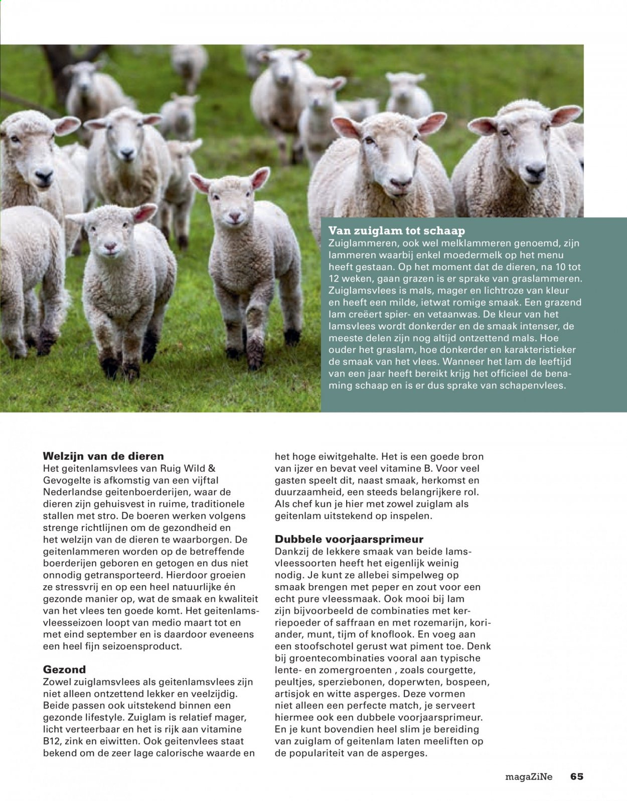 Sligro-aanbieding. Pagina 65