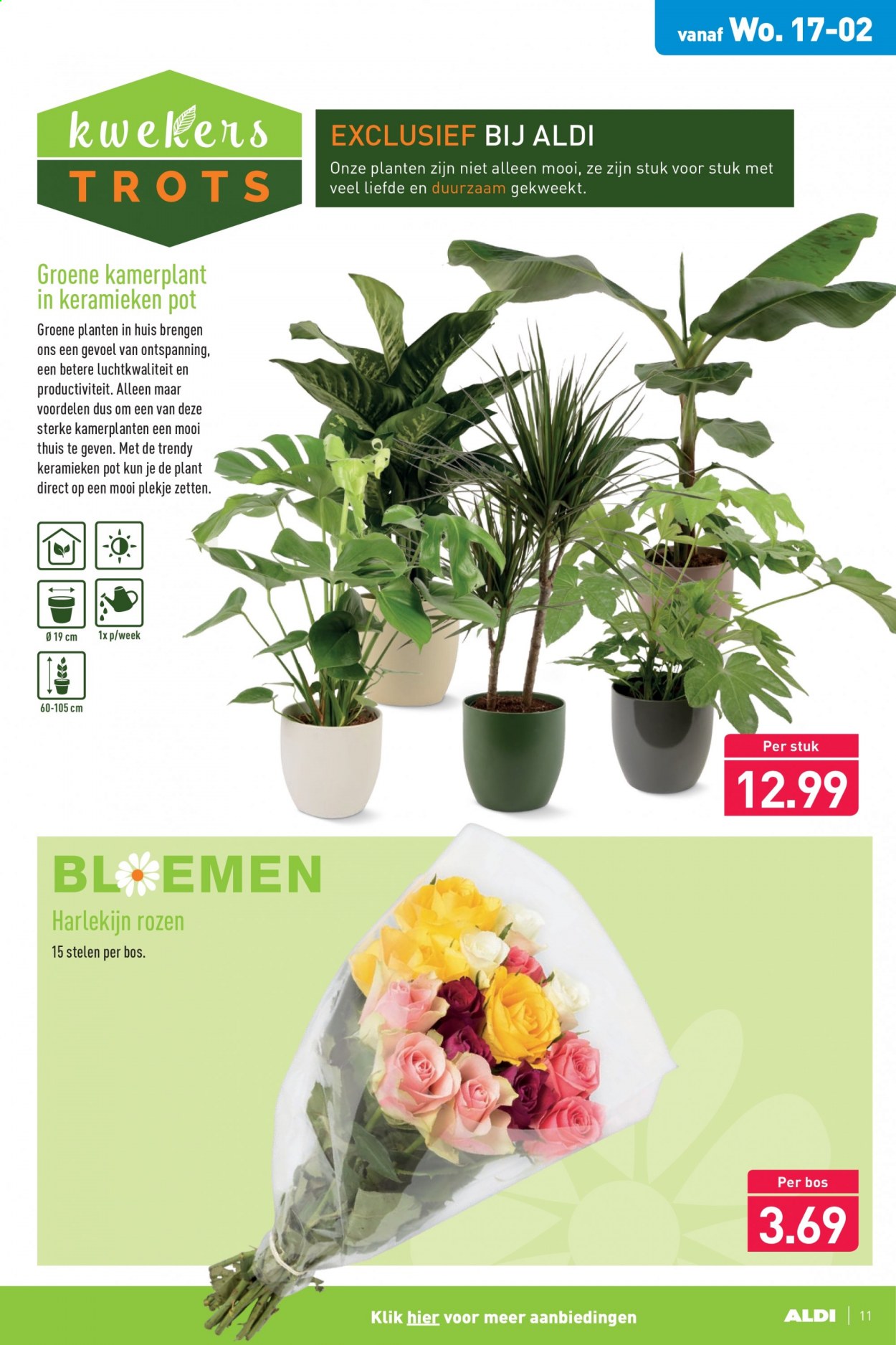 Aldi-aanbieding - 15-2-2021 - 21-2-2021. Pagina 11