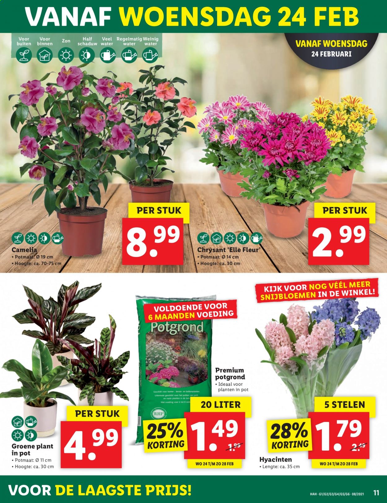 Lidl-aanbieding - 22-2-2021 - 28-2-2021. Pagina 11