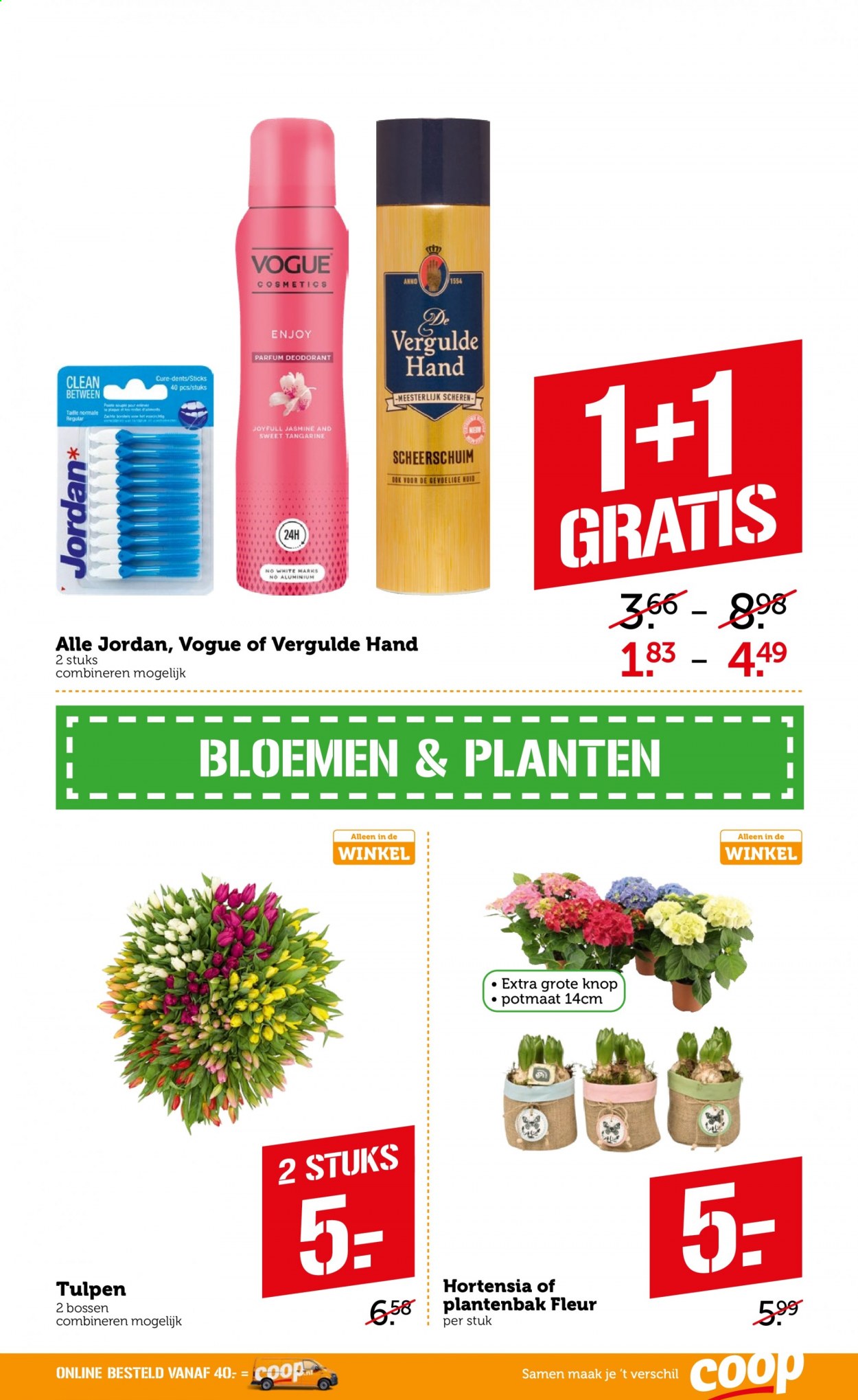 Coop-aanbieding - 22-2-2021 - 28-2-2021. Pagina 31