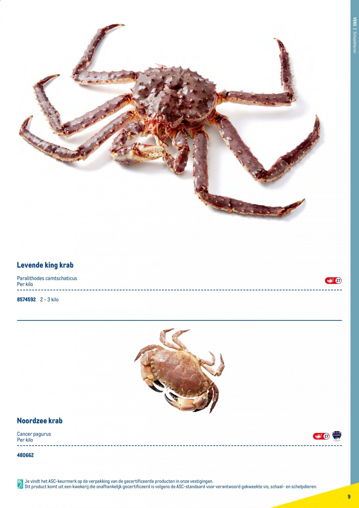 Makro-aanbieding. Pagina 9