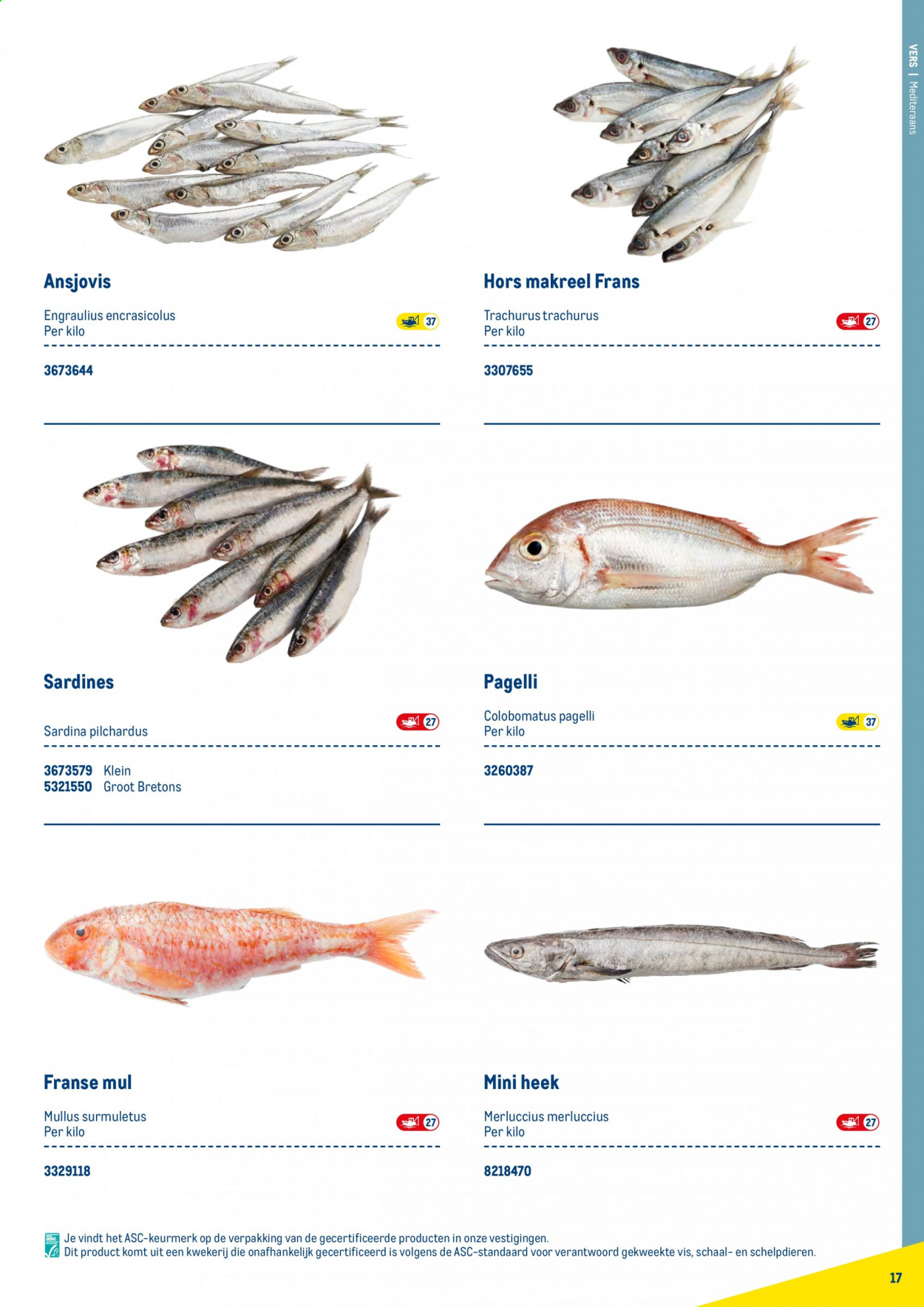 Makro-aanbieding. Pagina 17