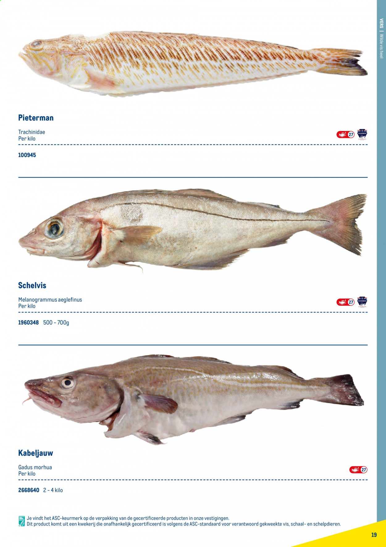 Makro-aanbieding. Pagina 19