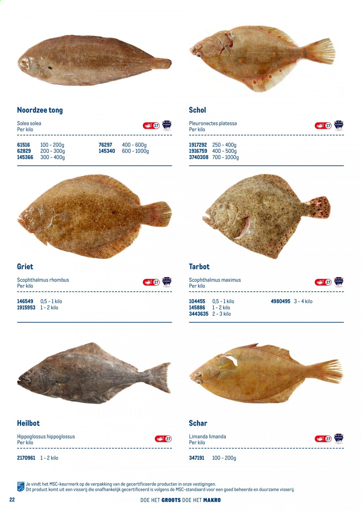 Makro-aanbieding. Pagina 22
