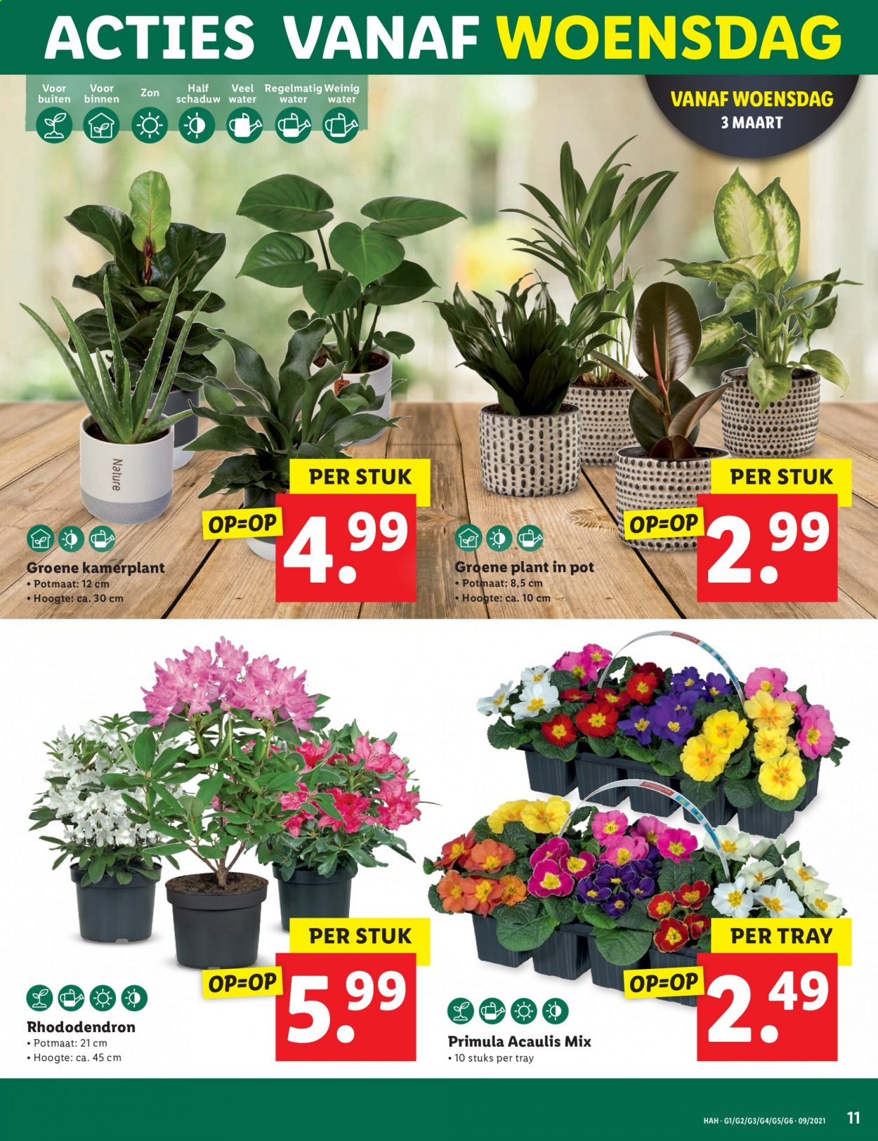 Lidl-aanbieding - 1-3-2021 - 7-3-2021. Pagina 11