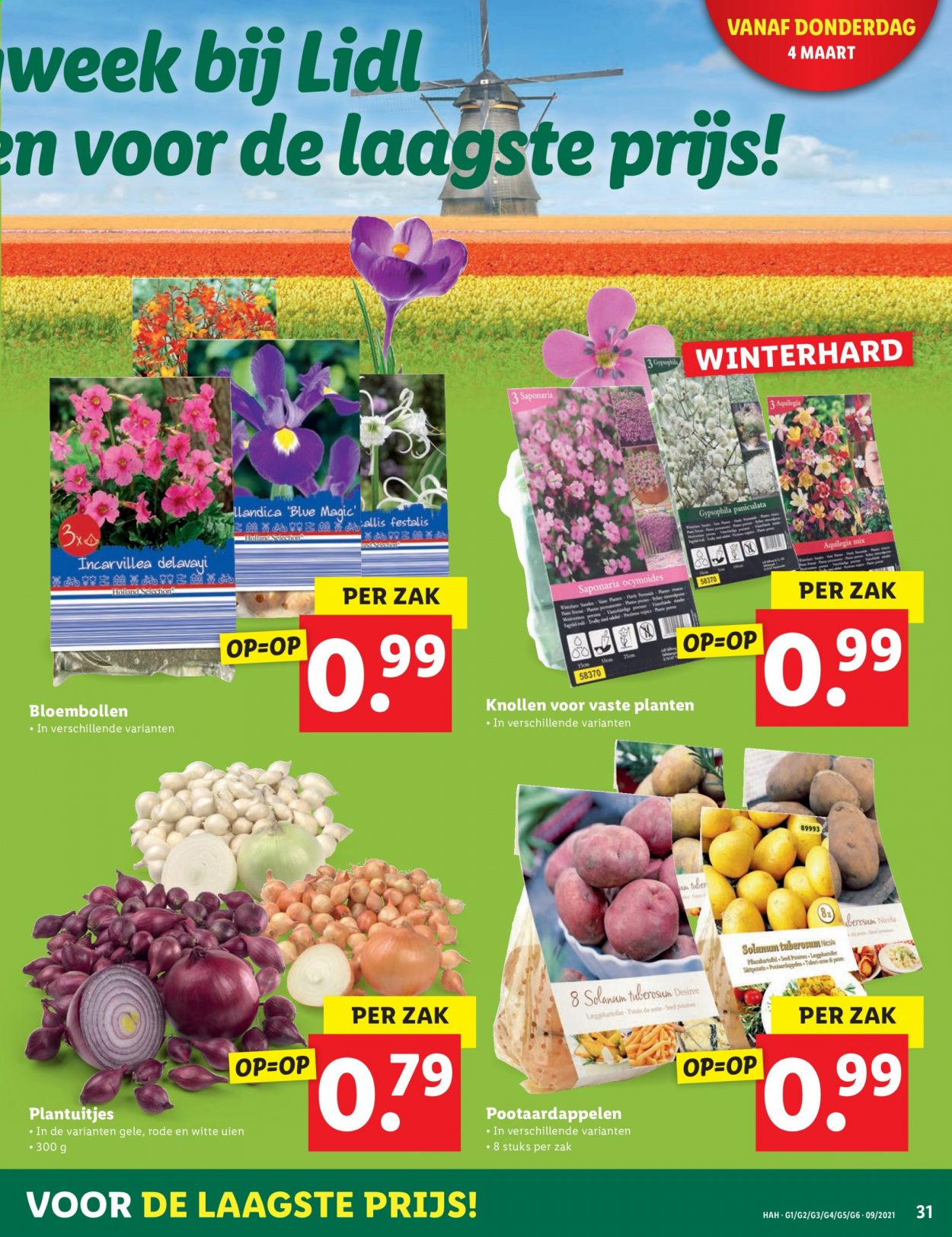 Lidl-aanbieding - 1-3-2021 - 7-3-2021. Pagina 31