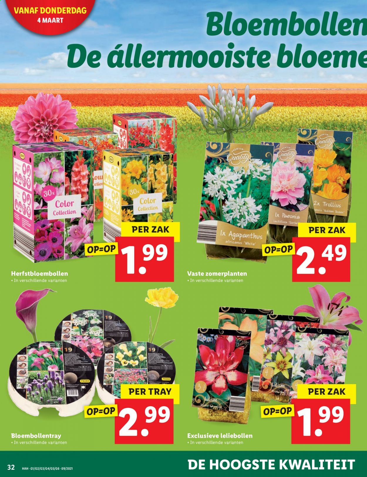Lidl-aanbieding - 1-3-2021 - 7-3-2021. Pagina 32