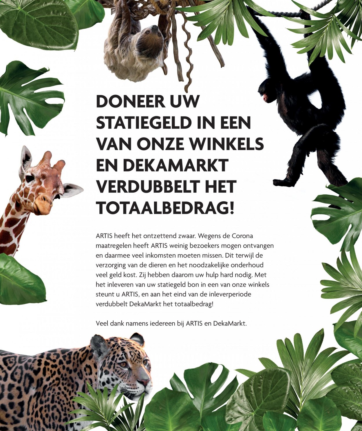 DekaMarkt-aanbieding - 28-2-2021 - 6-3-2021. Pagina 11